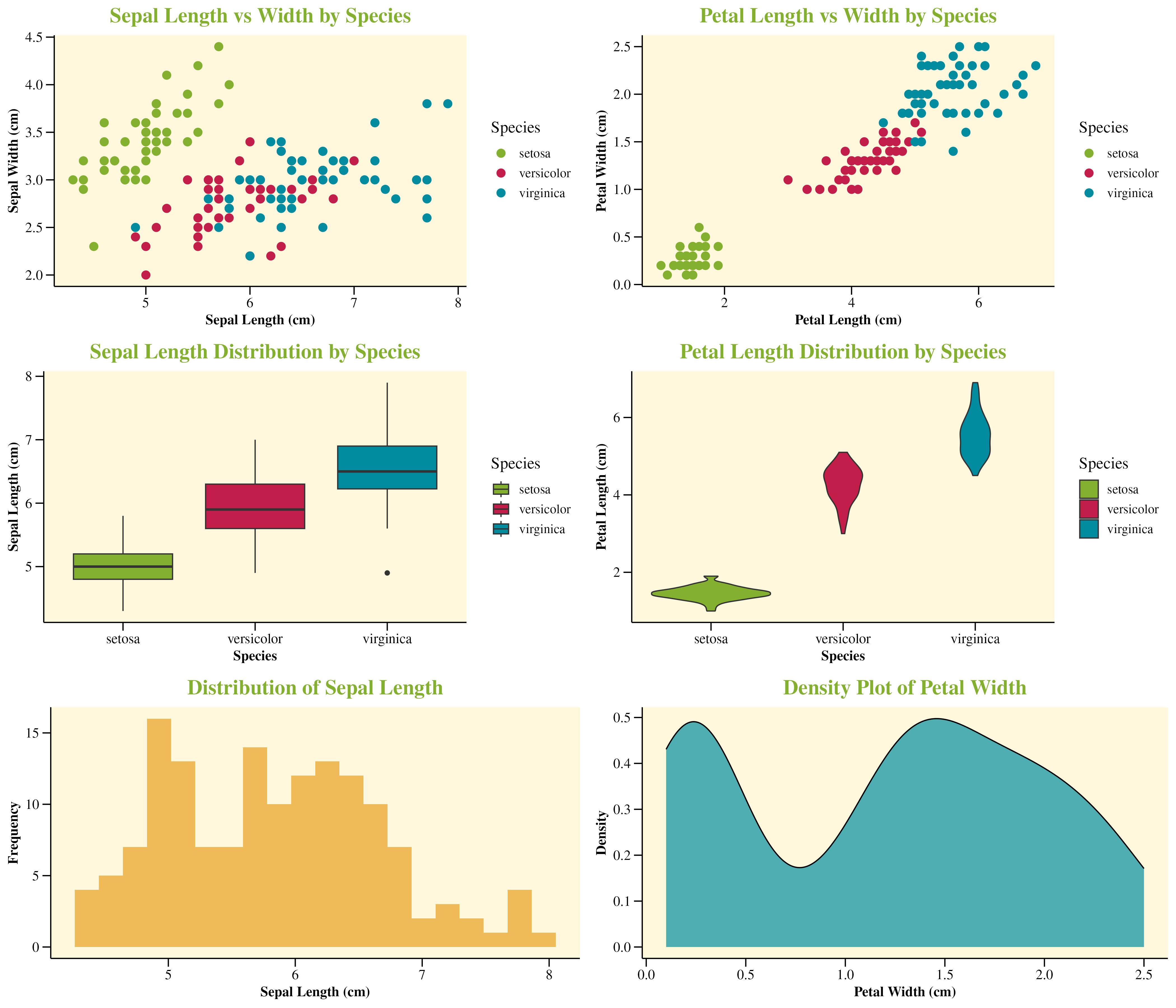 Iris Dataset Visualization Examples using snazzieR